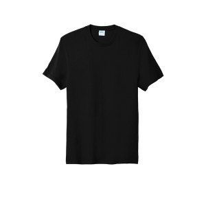 Port & Company Fan Favorite Blend Tee.